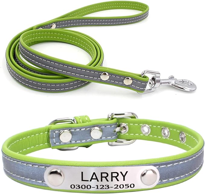 Personalized Collars