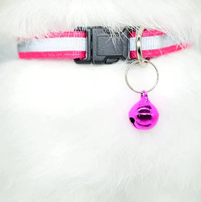 basic adjustable cat collar