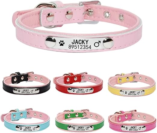 Personalized Collars