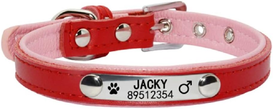 Personalized Collars