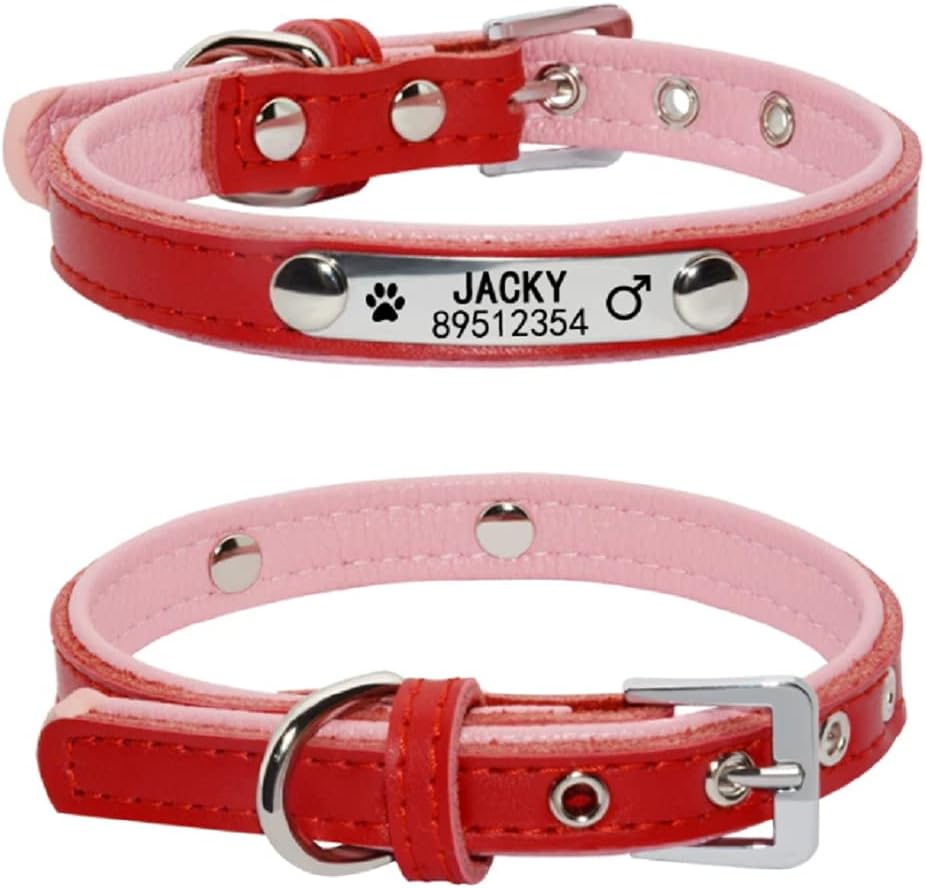 Personalized Collars