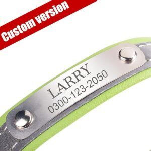 reflective cat collar with name tag