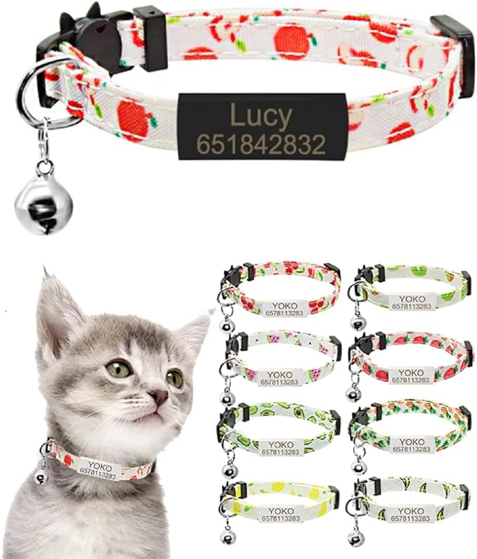 cat collar with name